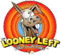 loony-left